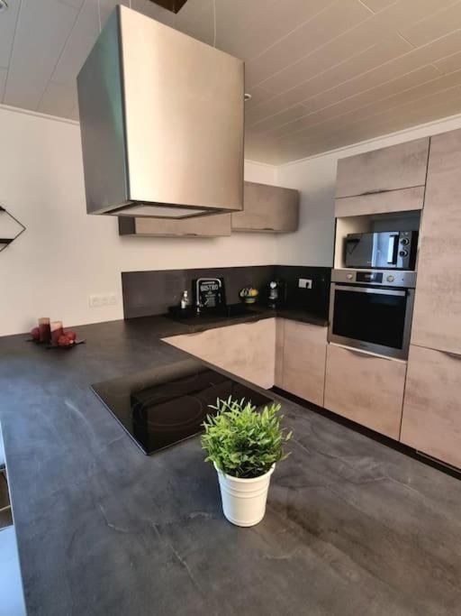 Appartement Chaleureux 80M2 Orbey Exterior foto